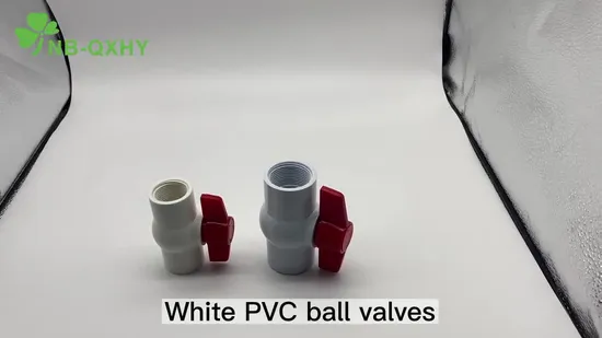 2-Piece Women&prime; S Fashion Suit Loose Shirt with Shorts Turn Down Collar Suits